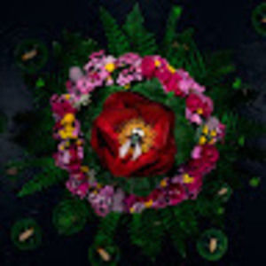 Meet your Posher, Yoo